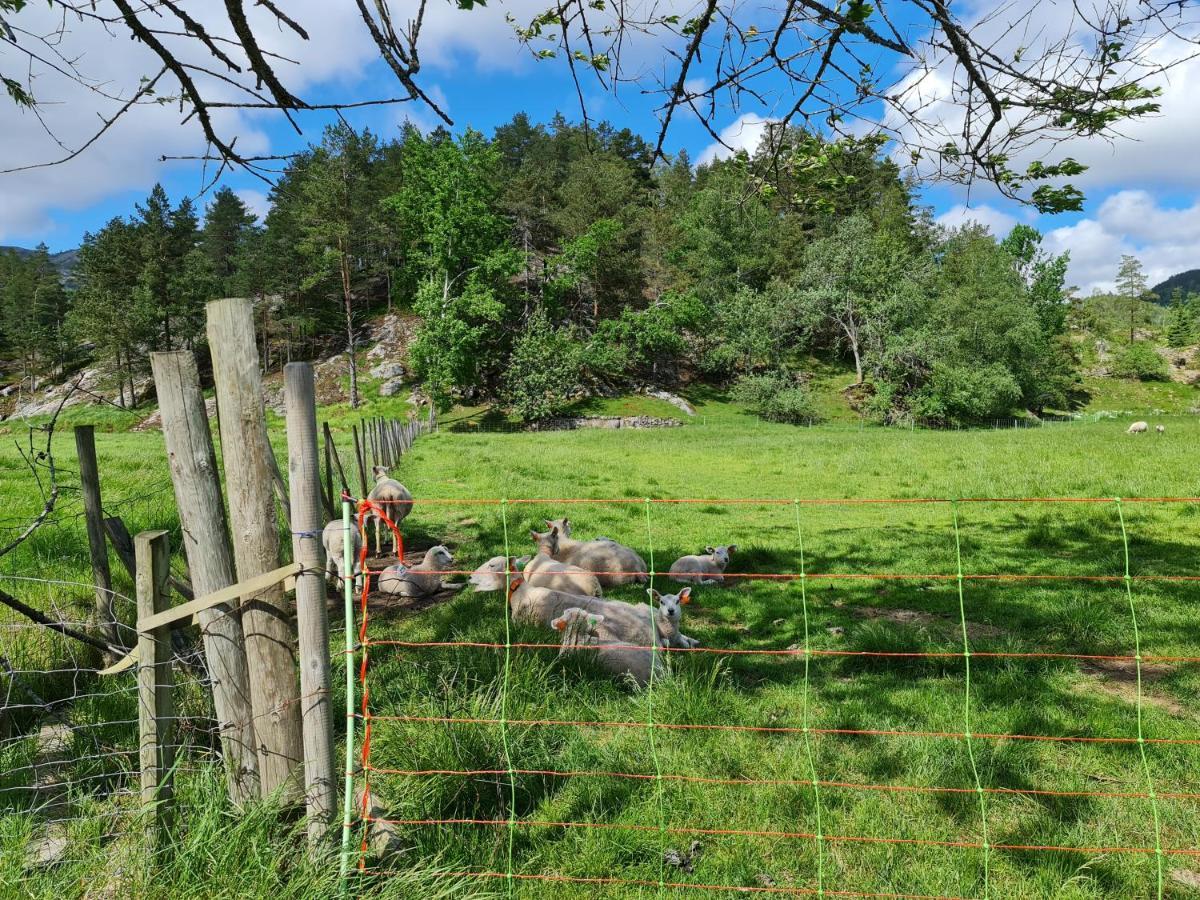Villa Hygge Pa Fjellet Øyuvstad Exterior foto